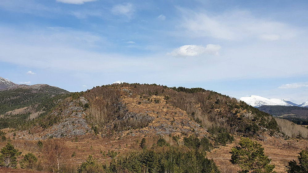 Åsmulen sett fra Varden