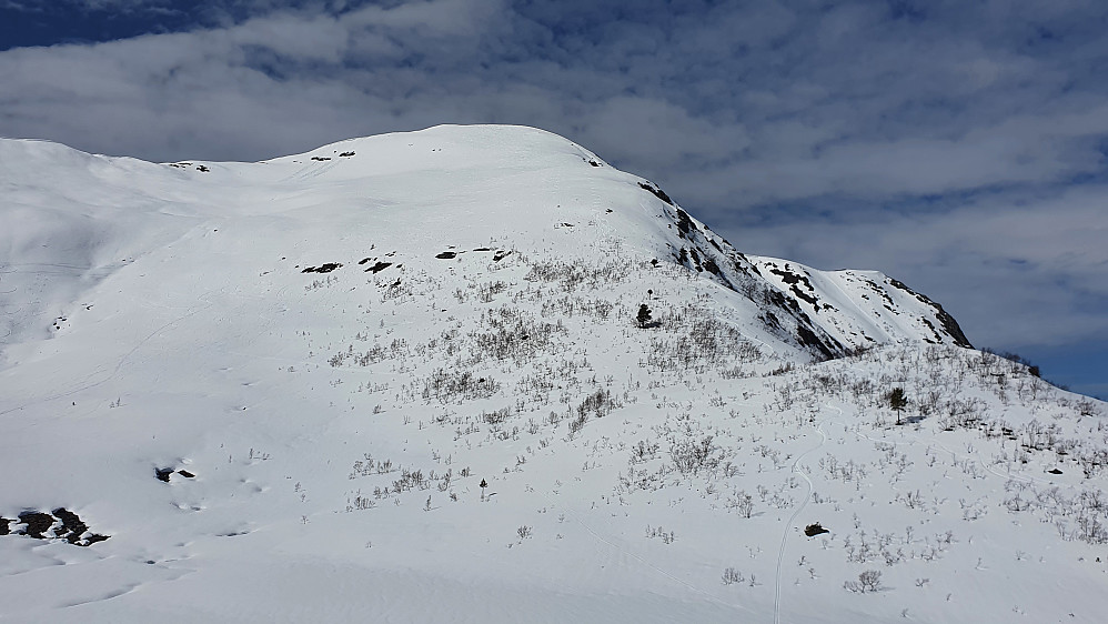 Nedkjøringen sett fra Skarvebotnhaugen
