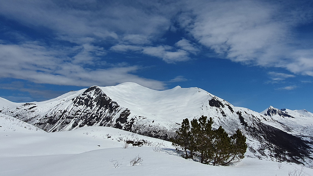 Utsikt mot Smørbottstinden fra Tverrlihaugen, med Skarvebotnhaugen fremst