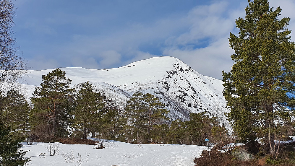 Skarven ligger der og venter - ski fra bil en god stund til