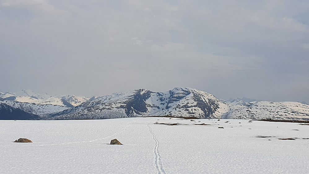 Skåla