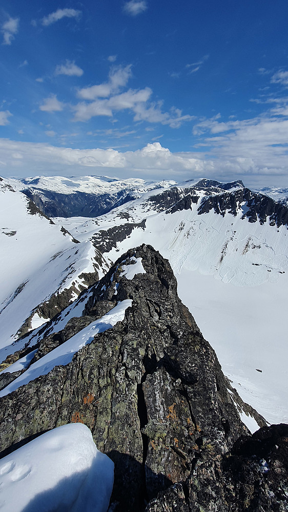 Artig rygg bort til Stigbottshornet. Skiene ble satt på sekk en stund her. Passe klyving med rando-sko.