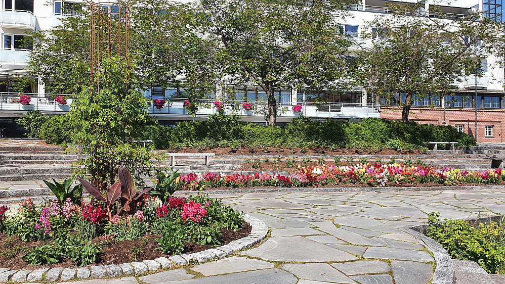 Alexandraparken
