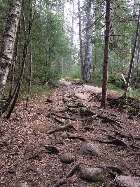 På vei mot toppen.