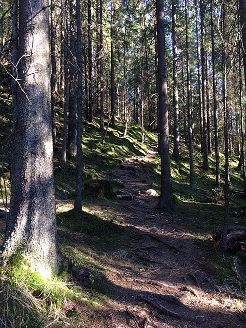 På vei opp fra Styggedalen, sydøstover.
