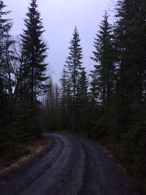 På vei ned igjen. 