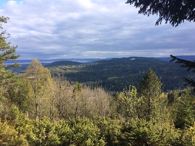 Utsikt i nærheten av Brunkollen, Kolsåsbakken i bakgrunnen.