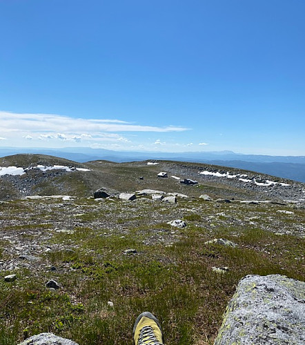 På Høgevarde.