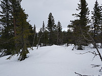 Nordøst for Gilderåsen.