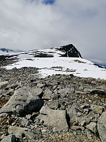 Jørgen_20210627_60d82343713af.jpg