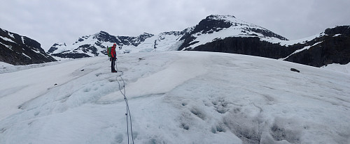 På Styggedalsbreen med Hurrungveggen bak