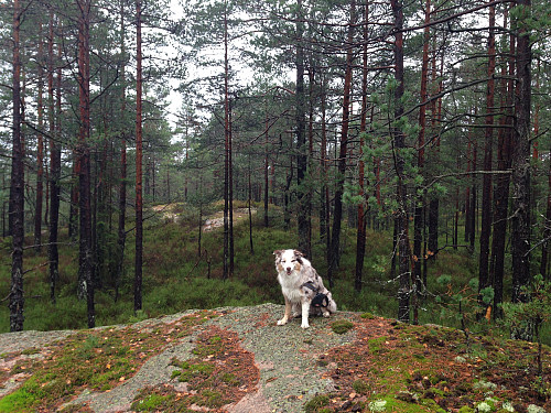 Selma poserer på Kølåsen Sørøst.