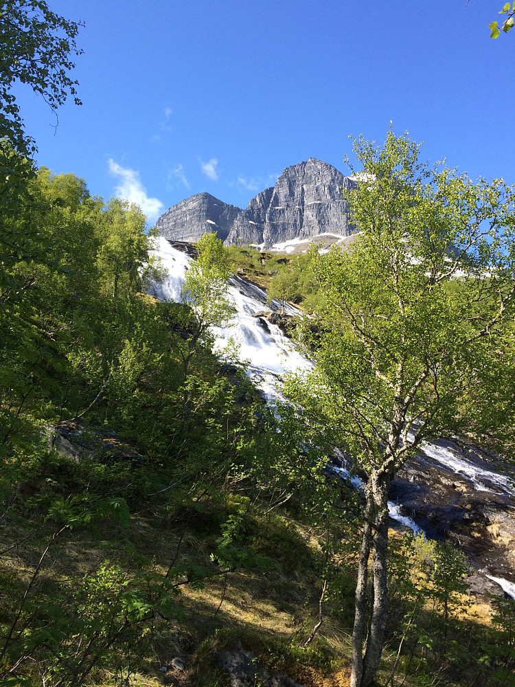 Fluo fosser over sva og Skarfjellet i bakgrunnen.