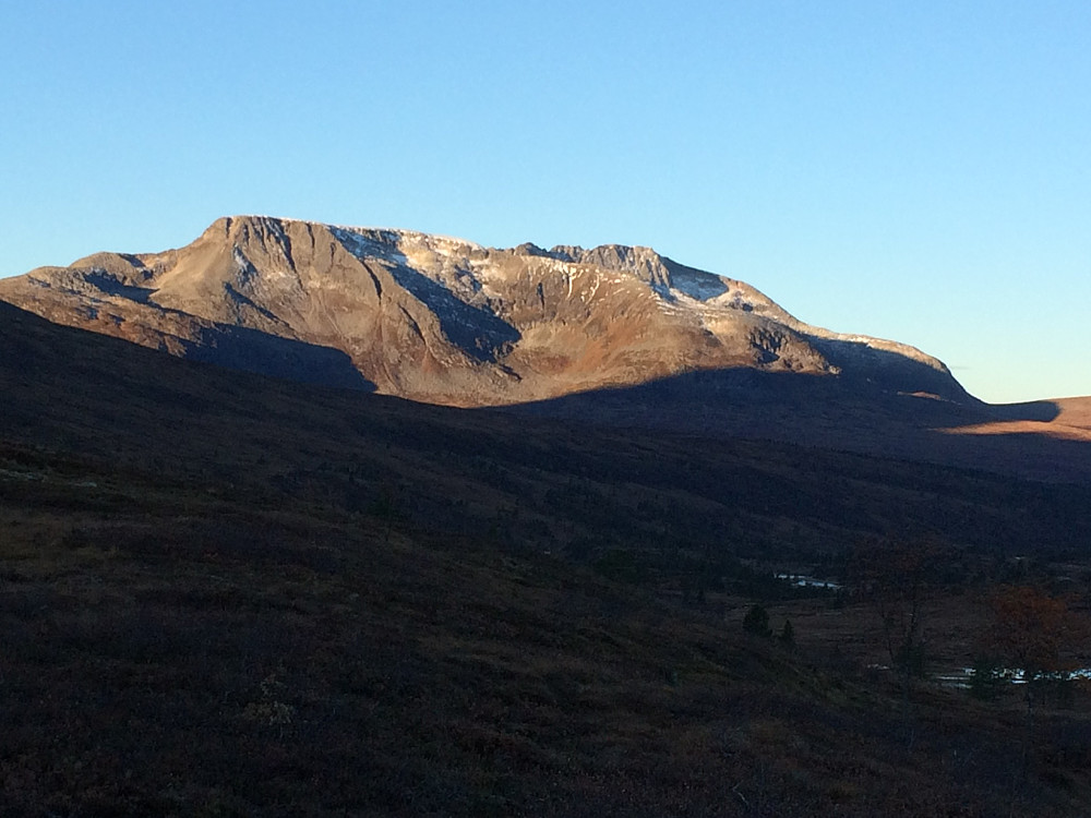 Viromkjerringa i morgensol.