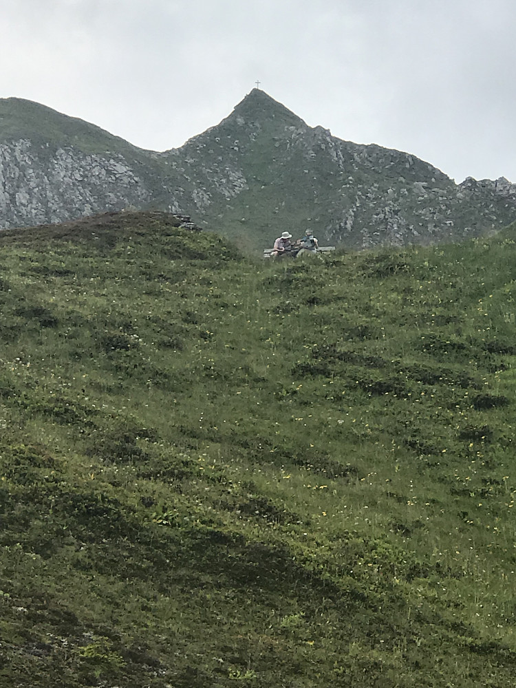 Mauskarkopf