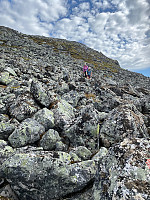BjørnF_20210628_60da178c89ced.jpg