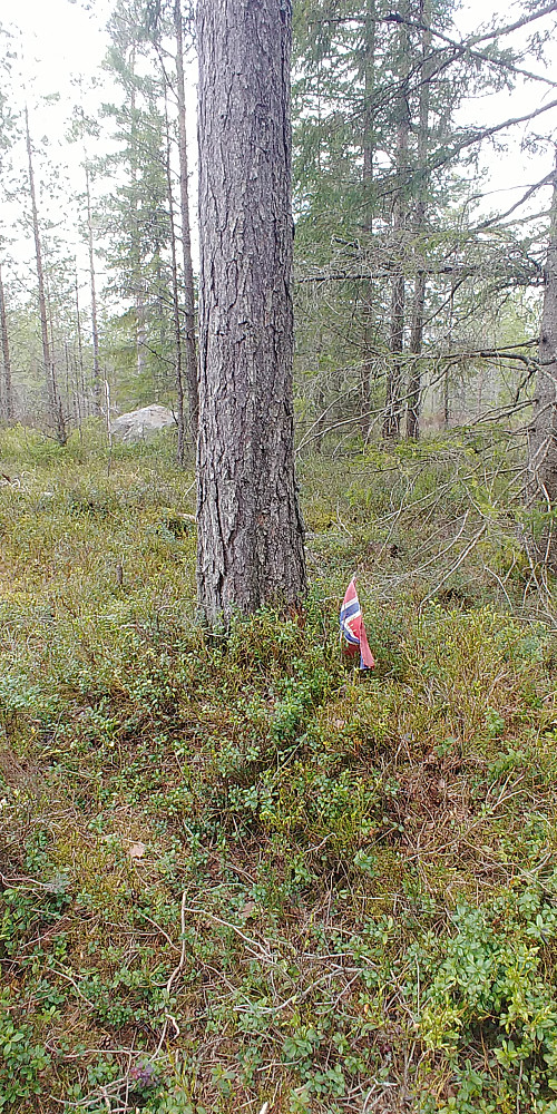 Bufarhaugen, 258 m.o.h. På toppen av Halden ?