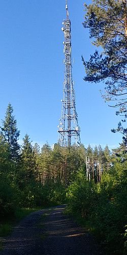 Teletårnet på Viktjernhøgda sør