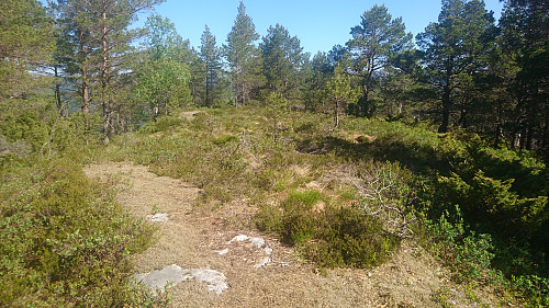 Toppunktet på Nova
