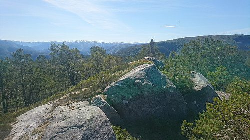 Brendeknolten