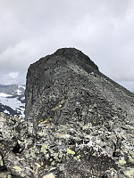 kjetilnyhus_20210129_6013ce1c79f50.jpg