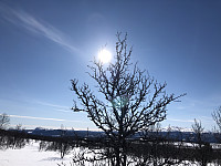 kjetilnyhus_20210129_6013d0adb3319.jpg