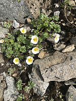 kjetilnyhus_20210129_6013d38eb0eae.jpg