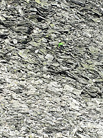kjetilnyhus_20210129_6013d82aaa470.jpg