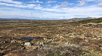 kjetilnyhus_20210612_60c51fd2276ce.jpg