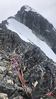 kjetilnyhus_20210621_60d011d7af3a5.jpg