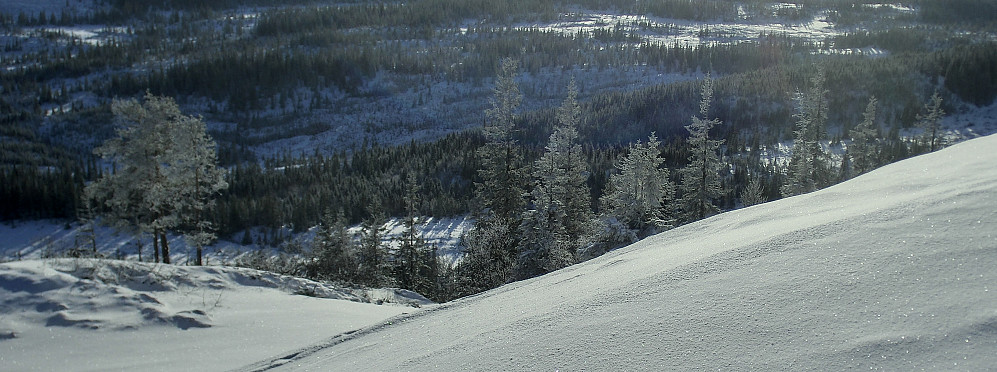 Grana har fått frostkappa på.