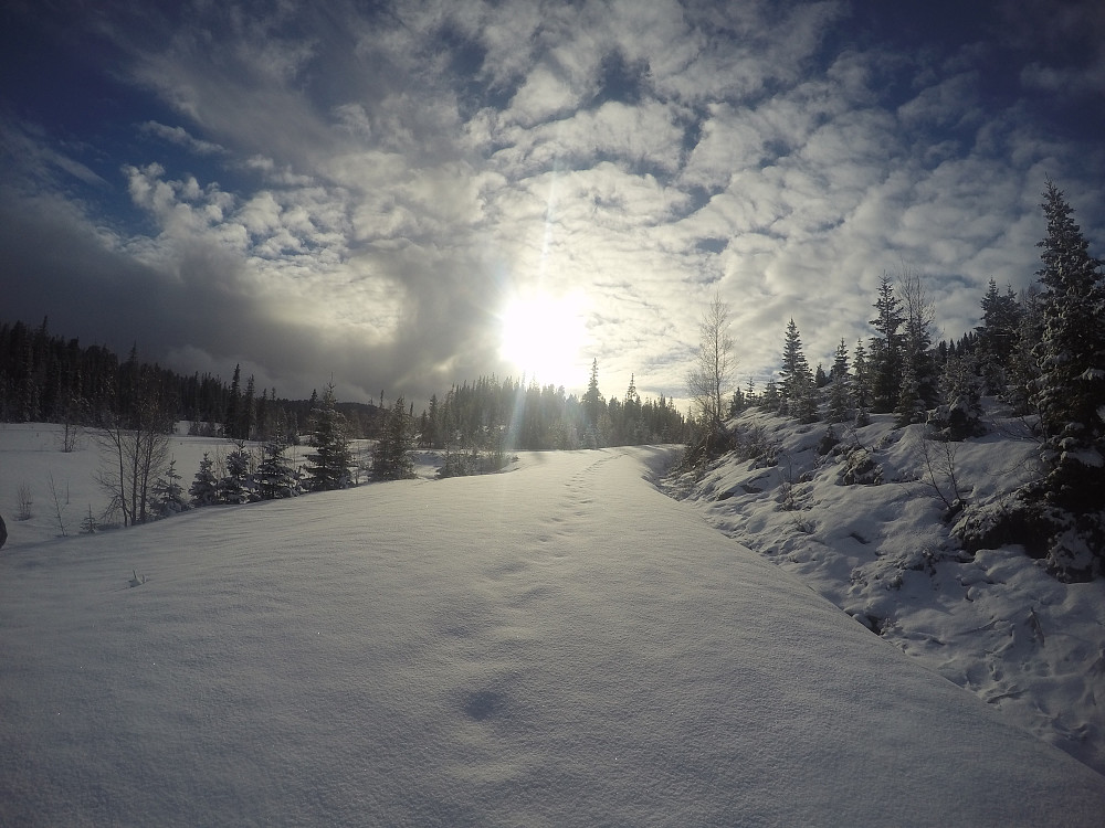 Joda, fin på ski i norsk natur.