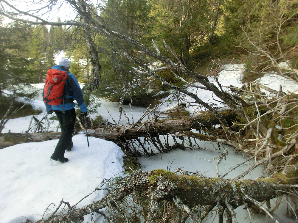 Naturens kultiveringsmetode skaper fine hinderløyper for oss friluftsfolk.