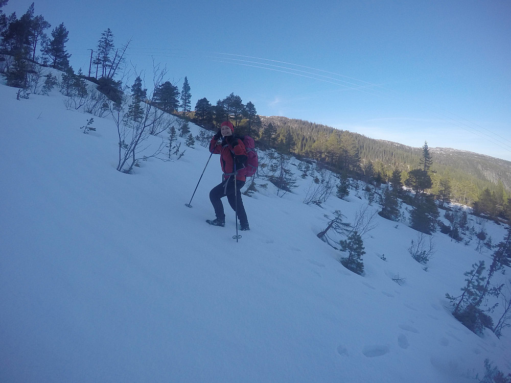 Etter ca. 300 høydemeter når vi tak i snøen som vi trasker i til toppen. Litt skare der sola ikke har tatt så mye, men ikke påtrengende hardt.