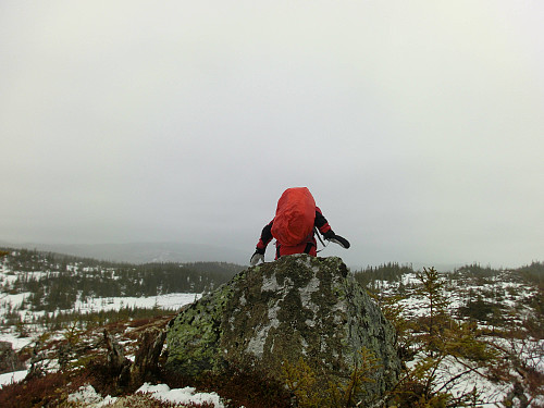 Enda ei som tok utfordringen med å stå på stein, men med mange kilo lettere og like frisk vind kom hun like raskt ned som hun kom opp. Raskere en lukkeren på kameraet faktisk...
