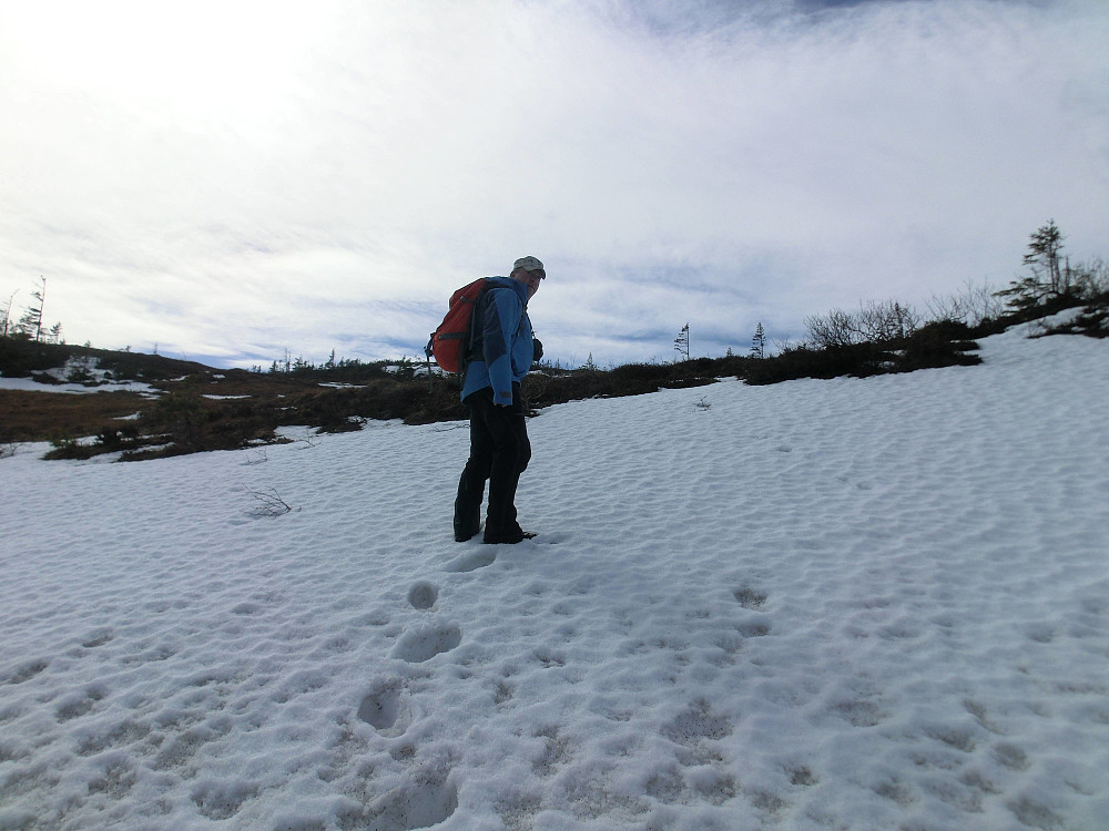 Snø mot toppen