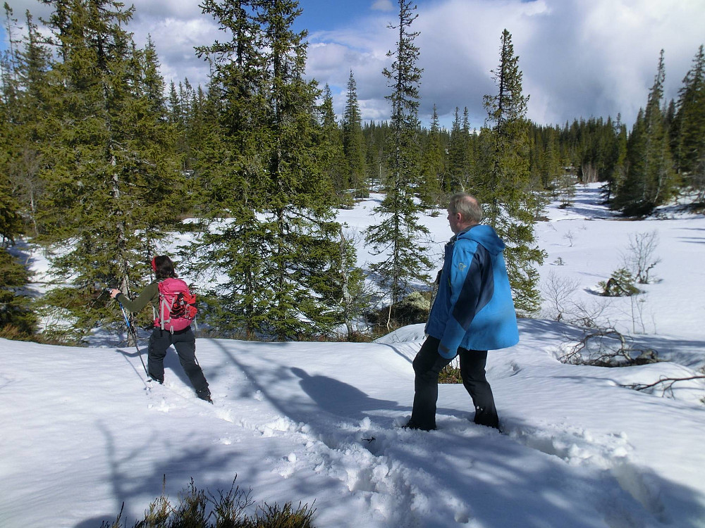 Mye snø igjen på skogen ennå.