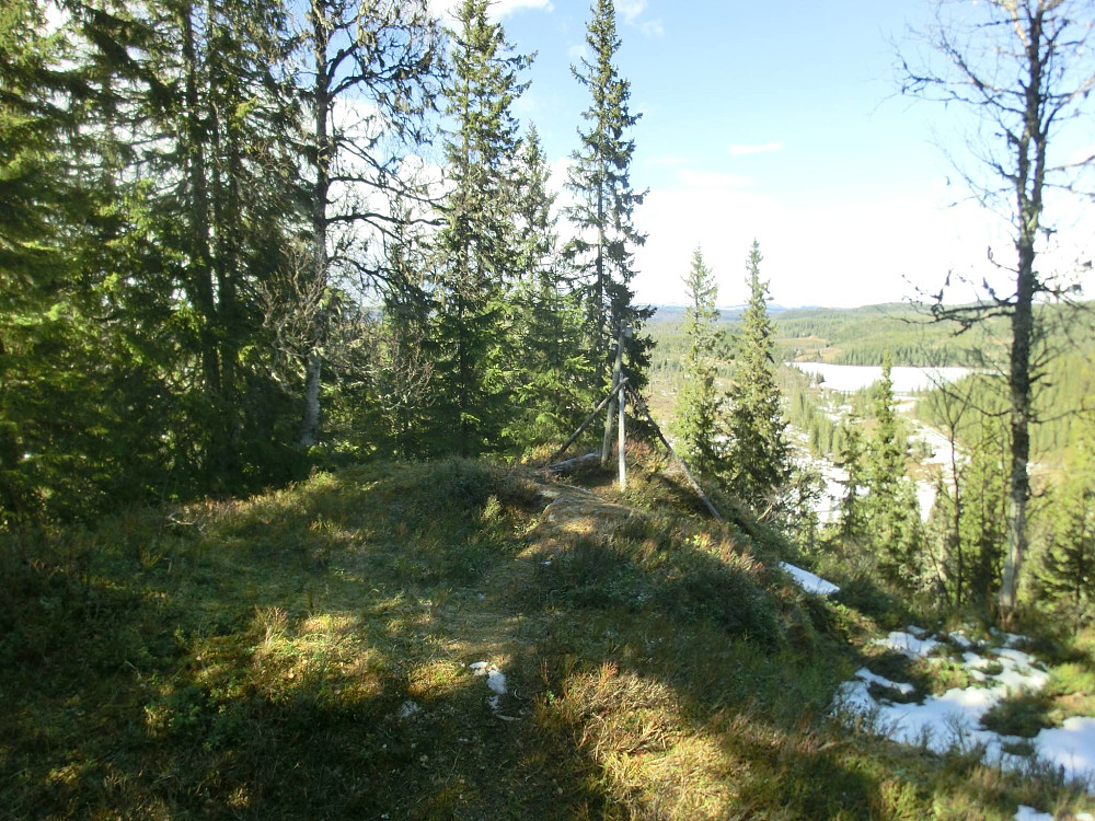 UTsikten fra Bukkhammeren utover Gåsvatnet.