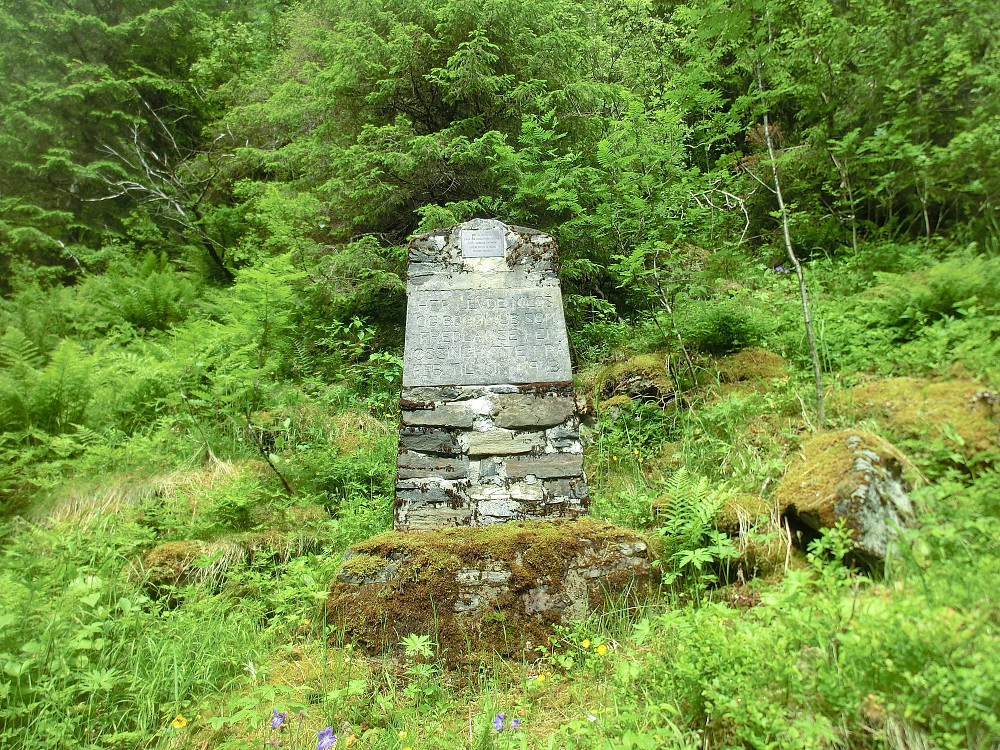 Bautaen står godt skjult sett fra Sørsiden av elven.