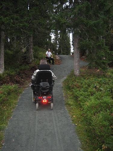 Fra og med idag er stien opp til utkikkspunktet i Leksvik blitt til en rullestolvennlig vei, takket være Idar Åring som sitter og venter på Viggo som er den første til å bruke den.