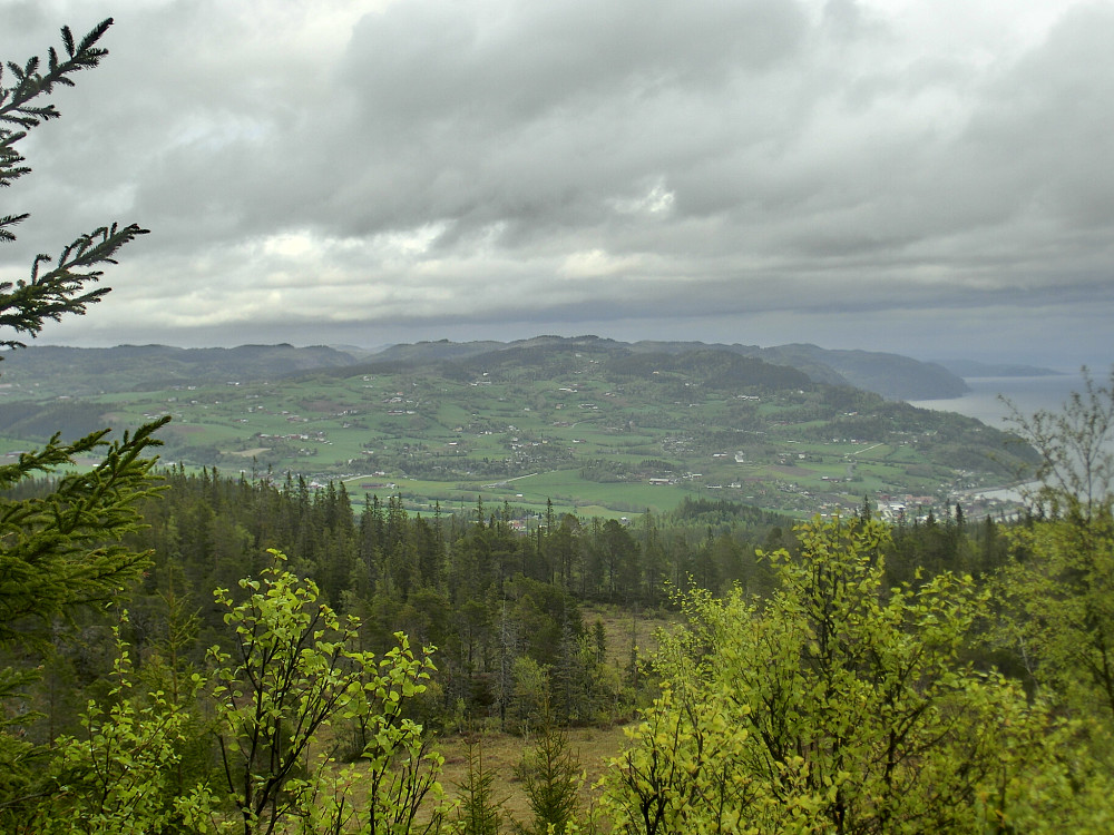 Utsikten østover fra Varghaugen er Leksvik sentrum