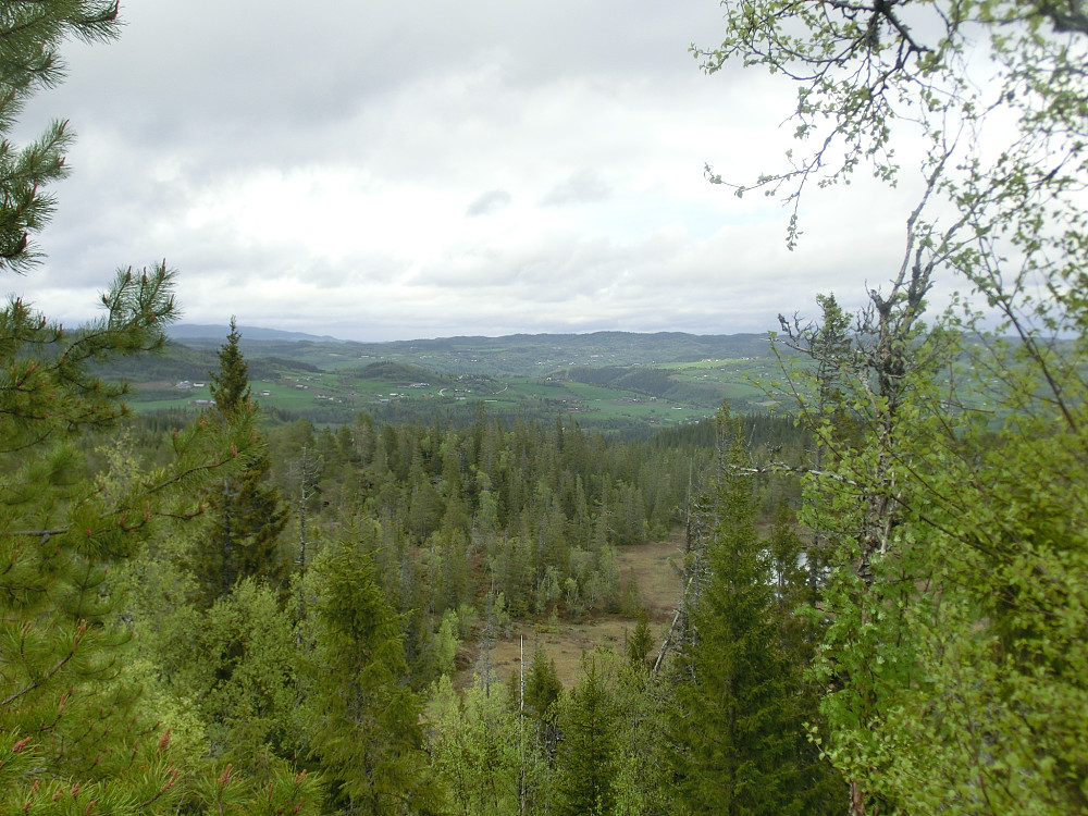 Utsikten østover fra Liarognåsen er Varghaugen men nordøstover ser vi nord for Leksvik sentrum.