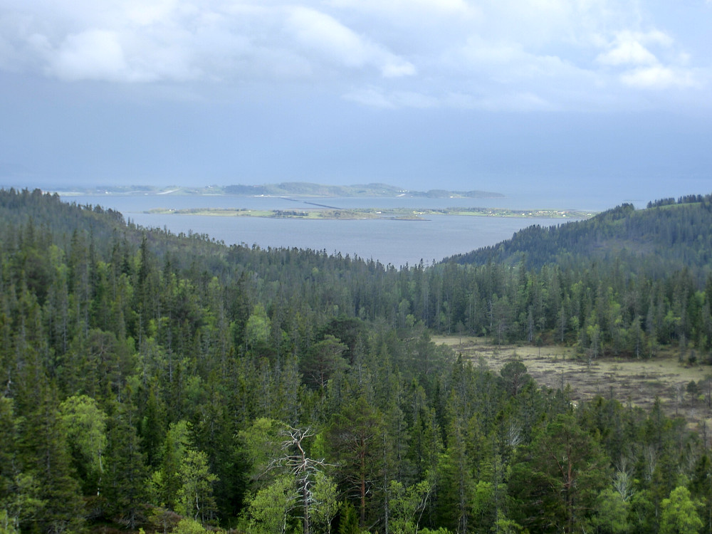Utsikten sørover fra Lauvpynten viser Trondheimsfjorden, Frosta og øya Tautra.