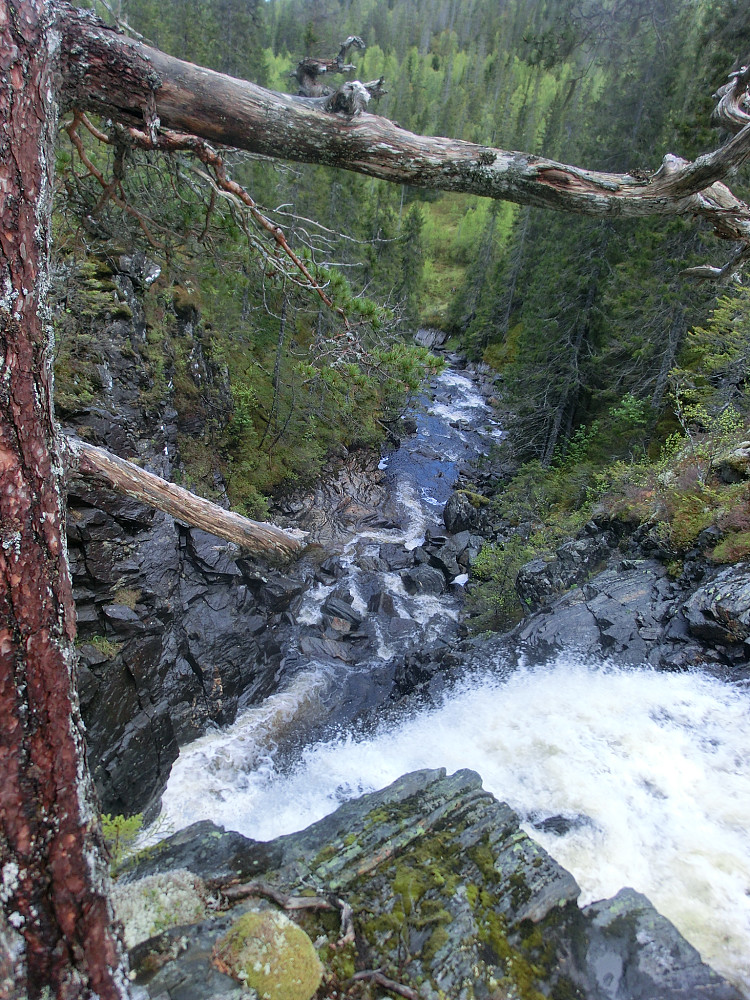 Lunfossen i Tømmerdalselva.