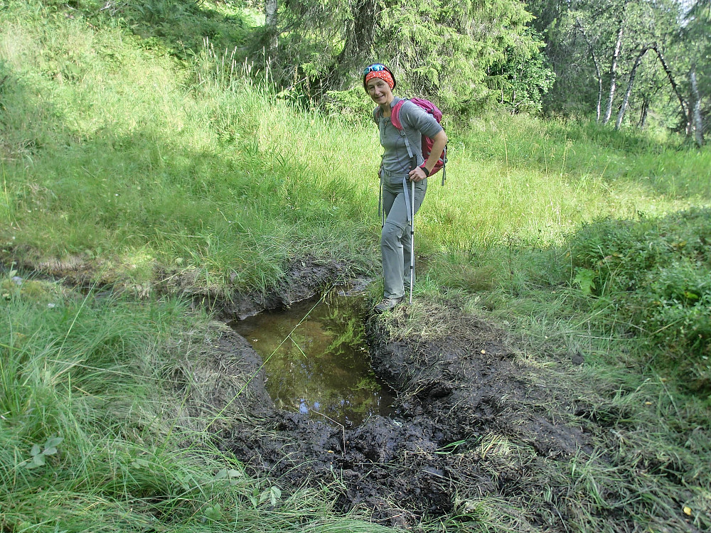 PS! Denne dama var riktignok imponert over størrelsen på elgsporene, men lukta var ingen høydare ... heldigvis..
