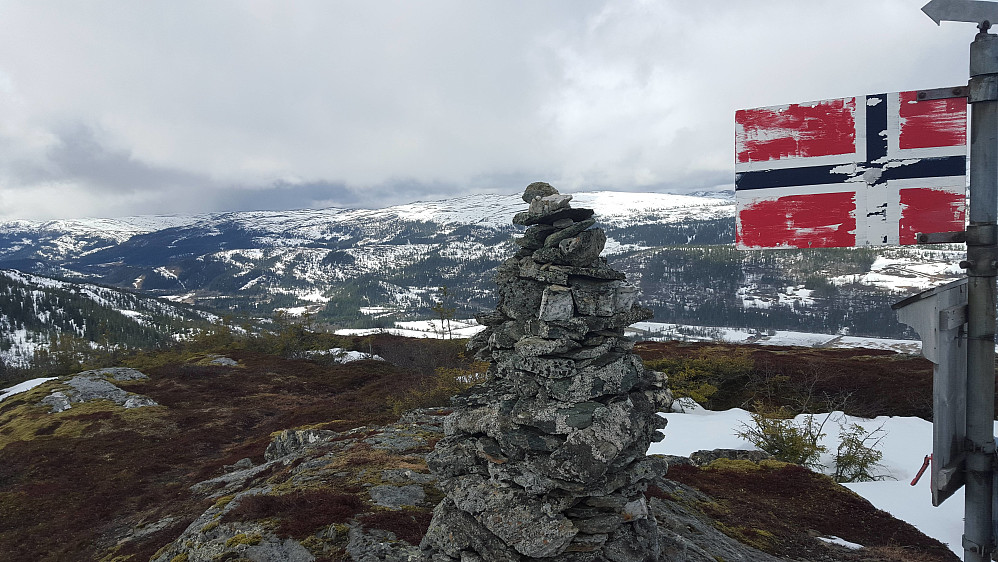 Storhåmmårn