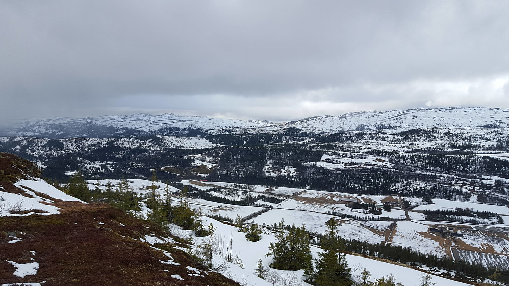 Utsikten fra Storhåmmårn ned mot Skaudalen.