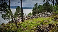 Gravrøysene