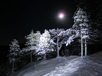 Icemann99_20160927_57ea9df068996.jpg