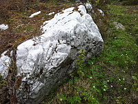 Icemann99_20160927_57eaa4c57e9bb.jpg